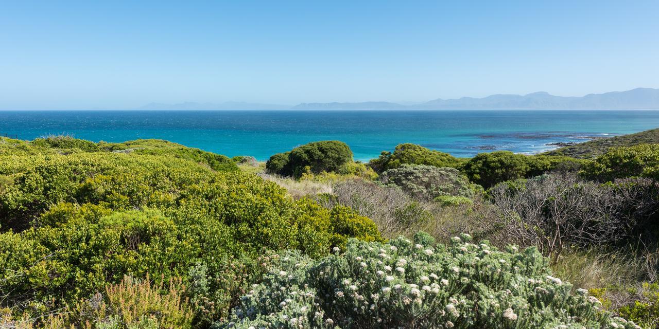 Romans Villa Gansbaai Buitenkant foto