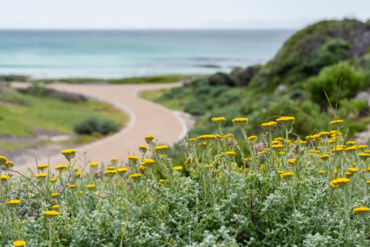 Romans Villa Gansbaai Buitenkant foto