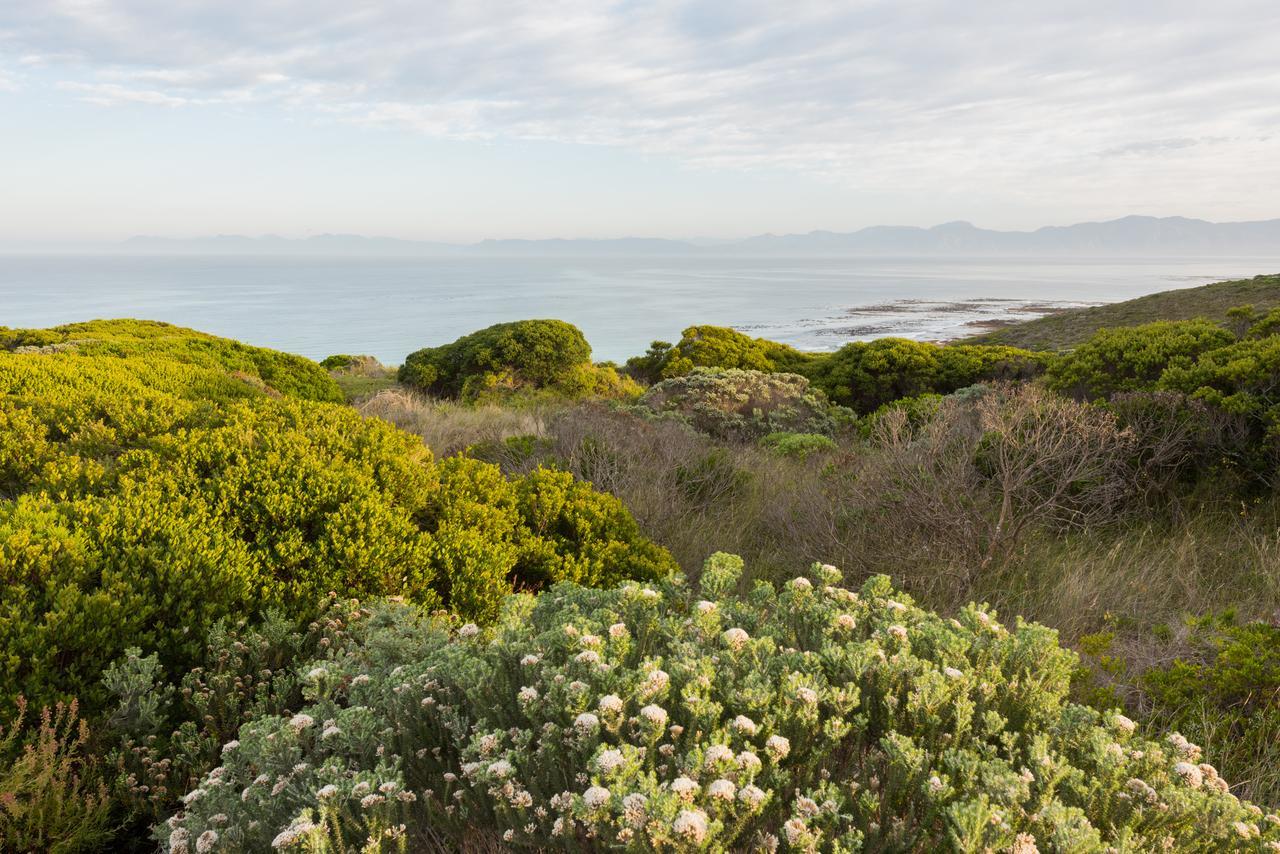 Romans Villa Gansbaai Buitenkant foto